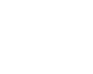 AI Automation Company